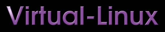 Virtual Linux Logo